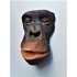 Dodenmasker Chimpansee