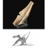 Zeldzaam! Vleugelbotten Vliegende Sauriër, Pterosauriër