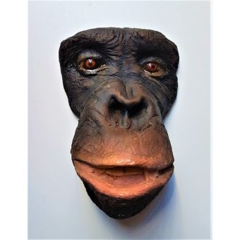 Dodenmasker Chimpansee