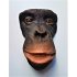 Dodenmasker Chimpansee