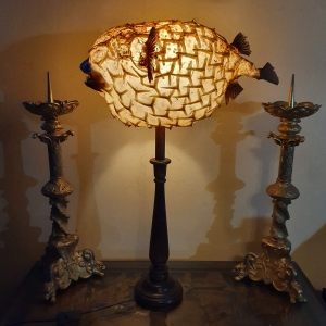 Prachtige Lamp met antieke grote Egelvis