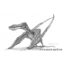 Zeldzaam! Vleugelbotten Vliegende Sauriër, Pterosauriër