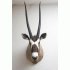 Gemsbok