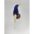 Taxidermy Numfor Paradies-Eisvogel