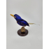 Taxidermy Numfor Paradies-Eisvogel