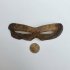 Snow goggles, Inuit, c.a. 2000 - 8000 BP. 