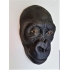 Dodenmasker Jonge Gorilla