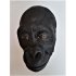 Dodenmasker Jonge Gorilla