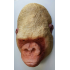 Dodenmasker Albino Gorilla